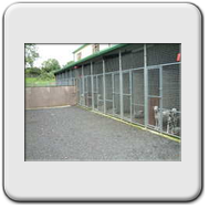 The back of the kennels which shows the top paddock into which dogs from the top sections of the six kennels can be let out. The same applies to the other section of six kennels where the dogs can be let into the bottom paddock. The roof covering the outd
