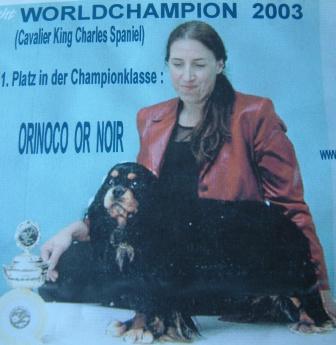 World Champion 2003 Orinoco Or Noir in Germany